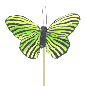 Papillon 5cm sur pique 50cm blanc vert