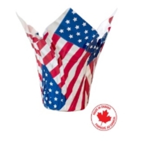 Design Cover-Up© Patriotic 4.5" (white kraft)