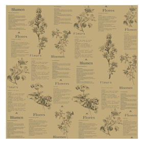 Ruana Botanic Vibes 20x24in natural kraft