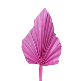 Palm Spear 12-15cm on 50cm stick pink