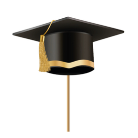 Graduation Cap 10.5x5.5cm on 50cm stick black/gold