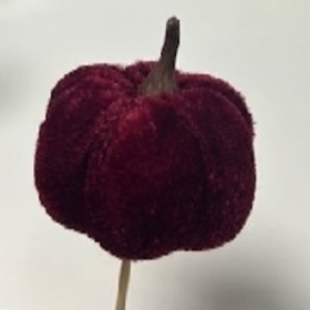 Velvet Pumpkin 5.5cm on 50cm stick burgundy