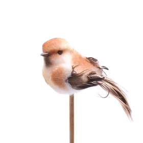 Bird Tommy  11cm on 50cm stick brown