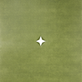 Non Woven Burlap Look 20x20in green + x