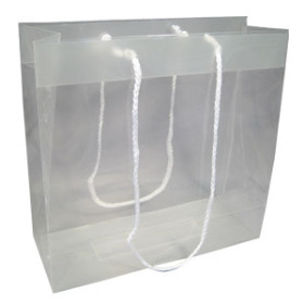 Carrybag 25/10x25/10x25cm transparent