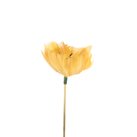 Blume Nemerosa 4,5cm auf 50cm Stick Ocker