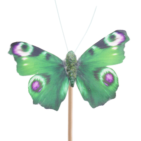 Butterfly Auralia 8cm on 50cm stick green