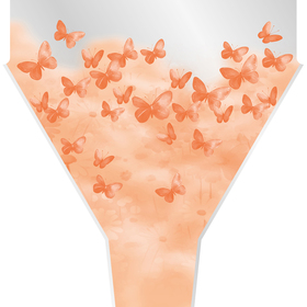 Funda Papillon 70% PCR 50x35x10cm naranja