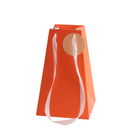 Carrybag Bano 10/10x17/17x27.5cm orange