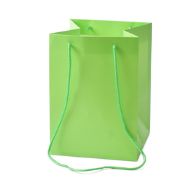 Carrybag Basic 18x18x25cm groen