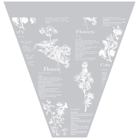 Capuchón Botanic Vibes 17x15x5in clear