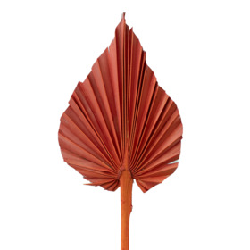 Palm Spear 12-15cm on 50cm stick red