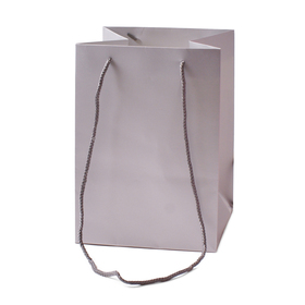 Carrybag Basic 18x18x25cm zilver