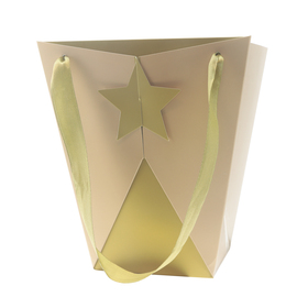 Carrybag Tara 19/19x12/12x22.5cm FSC* gold