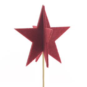 Ster Seren 10cm op 50cm stok rood