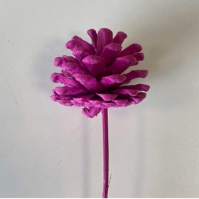 Pinecone 4-6cm on 36cm stick cerise FSC*