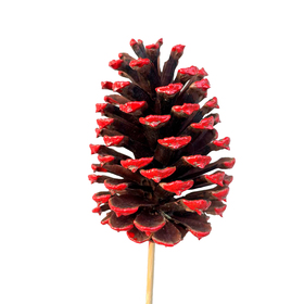 Piña de Navidad 2.75in en palo 20in natural/puntas rojo