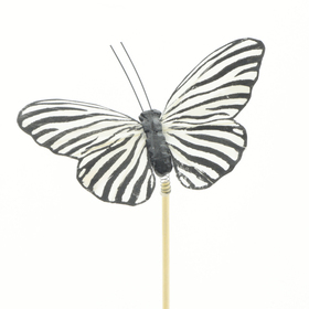 Vlinder Zeborra 10cm op 50cm stok wit