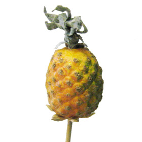 Fruit Pineapple 5cm on 50cm stick yellow
