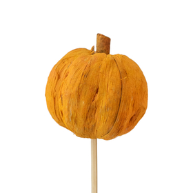 Pana Pumpkin 6cm on 50cm stick orange