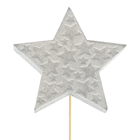 Star Nyx 6cm on 10cm stick silver
