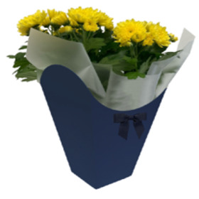 Potcover Chrysanthemum ES14 FSC* blue