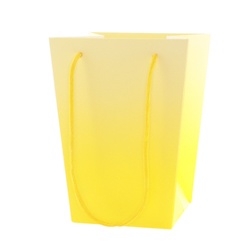 Carrybag Noor 15/15x11/11x20cm FSC* yellow