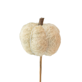 Fibra Pumpkin 6cm on 50cm stick natural