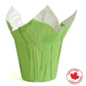 Cover-Up® White Kraft 6.5in Green