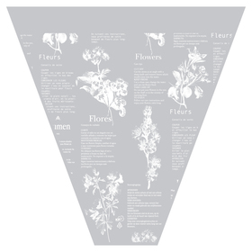 Capuchón Botanic Vibes 18x19x5in clear