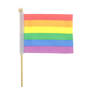 Pride Vlag 8x11cm op 50cm stok