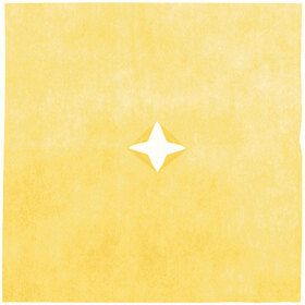 Nonwoven 20x28in yellow-goldfinch + x