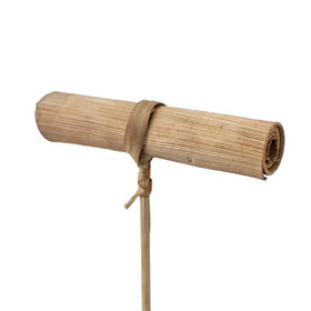 Banana Possy 12cm on 50cm stick natural