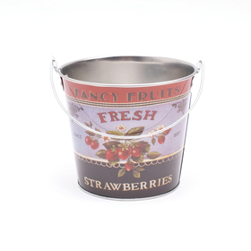 Bucket zinc Fancy Fruits Strawberries TØ12,5cm BØ9,5 H:11,5c