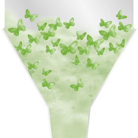 Papillon 20x14x4in green