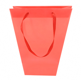 Carrybag Uni 24/11x12/11x26cm red
