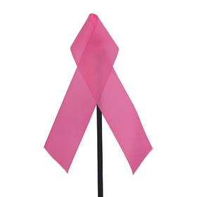 Awareness Ribbon 5in on 20in stick