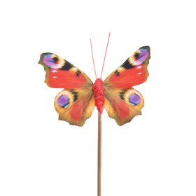 Vlinder Auralia 8cm op 50cm stok oranje