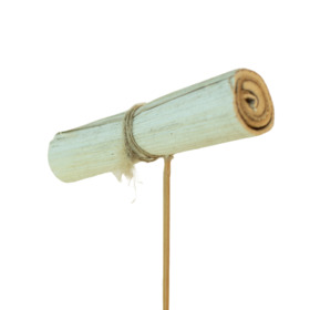 Banana Possy 15cm on 50cm stick natural
