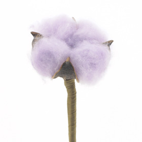 Cotton 5cm on 50cm stick lilac