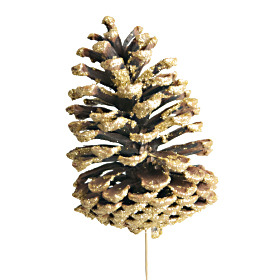 Christmas Pinecone natural 10-12cm with gold tips on 50cm