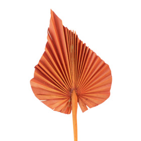 Palm Spear 12-15cm on 50cm stick orange