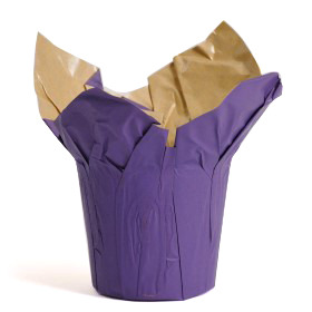 Cover-Ups Kraft 4in purple