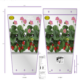 Plant sleeve Erdbeeren 54x40x27.5cm Rose Toscana 2025Janssen