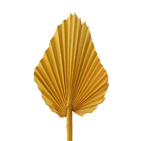 Palm Spear 12-15cm on 50cm stick gold