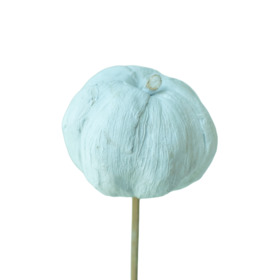 Pana Pumpkin 6cm on 50cm stick white