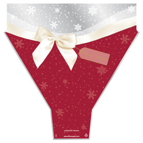 Sleeve Christmas Wishes 50x54x15cm red