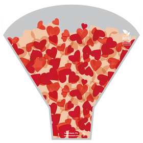 Sweet Hearts 90% PCR 20x17x5in red