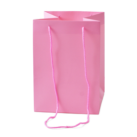 Carrybag Basic 18x18x25cm  roze