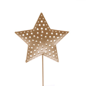 Star Rustic Ø 6.5cm on 30cm stick gold
